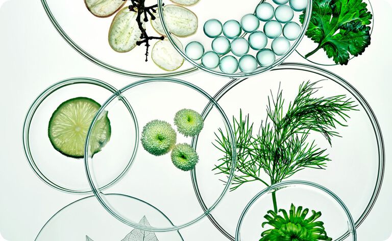 Bioavailability as a Design Principle