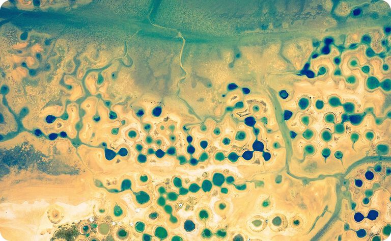 The Scientific Foundation of CellVive NMN&trade;️ Advance